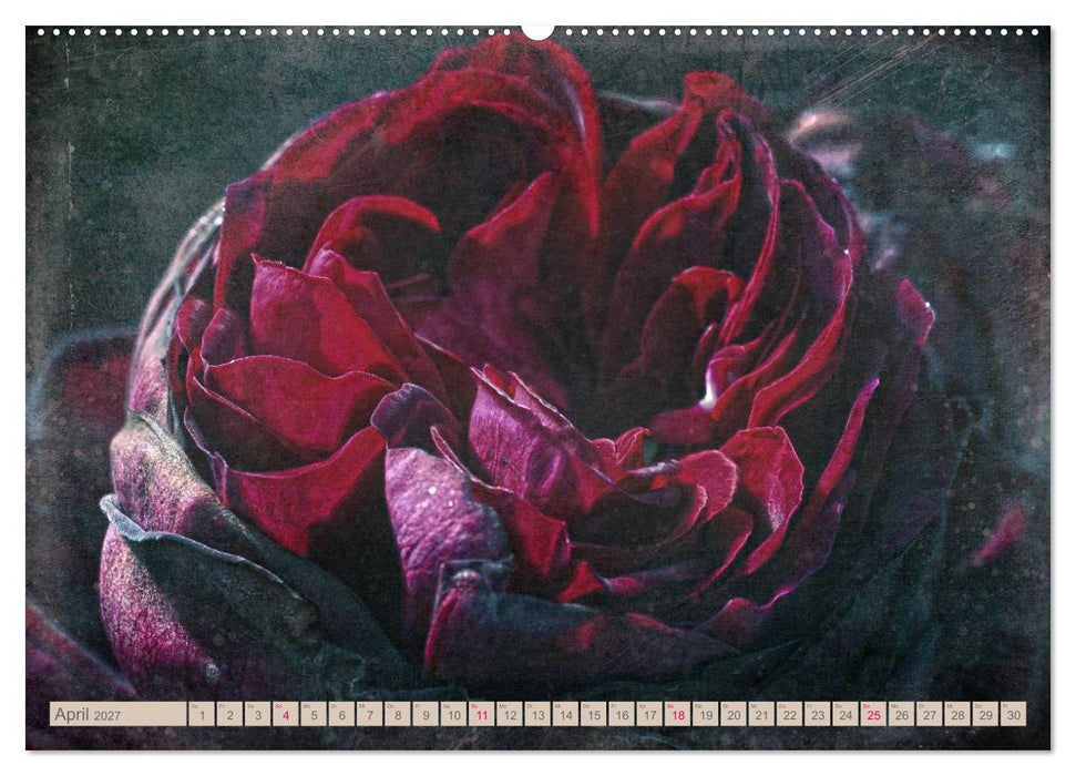 Rosenduft Shabby Chic Style (CALVENDO Wandkalender 2027)