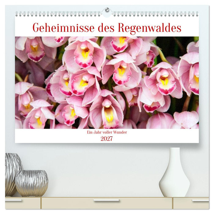 Geheimnisse des Regenwaldes (CALVENDO Premium Wandkalender 2027)