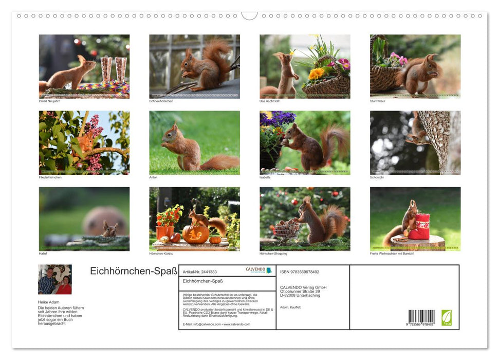 Eichhörnchen-Spaß (CALVENDO Wandkalender 2027)