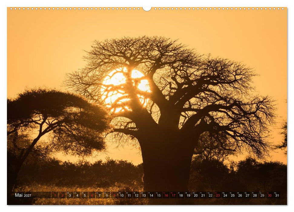 Ostafrika (CALVENDO Premium Wandkalender 2027)