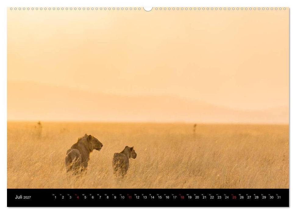 Ostafrika (CALVENDO Premium Wandkalender 2027)