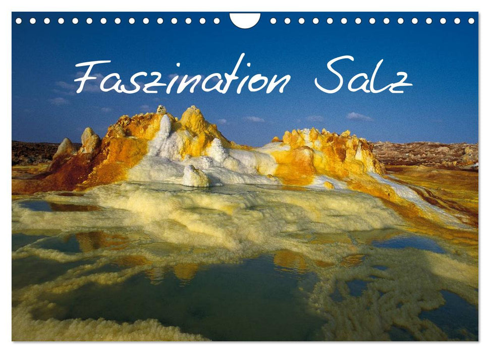 Faszination Salz (CALVENDO Wandkalender 2027)