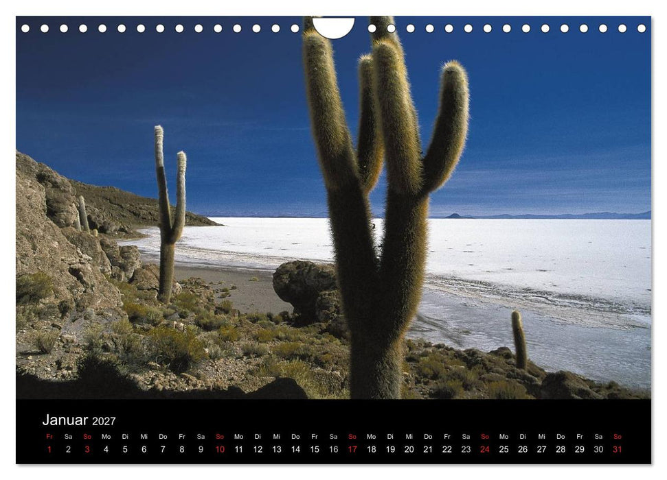 Faszination Salz (CALVENDO Wandkalender 2027)