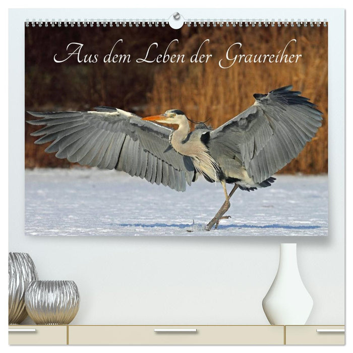Aus dem Leben der Graureiher (CALVENDO Premium Wandkalender 2027)