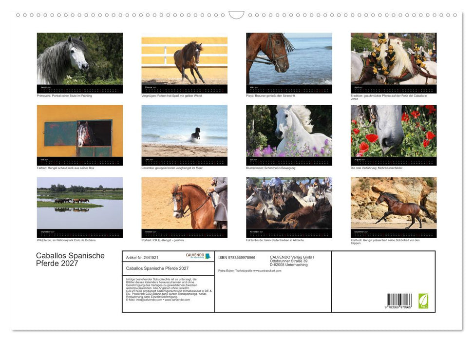 Caballos Spanische Pferde 2027 (CALVENDO Wandkalender 2027)