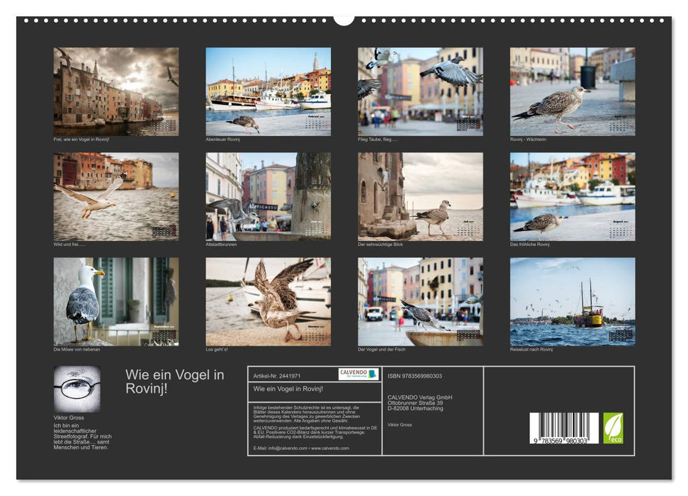 Wie ein Vogel in Rovinj! (CALVENDO Premium Wandkalender 2027)