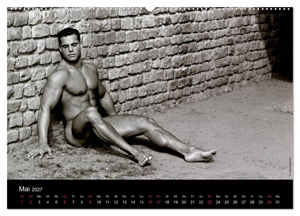 Traummänner Männerträume (CALVENDO Wandkalender 2027)