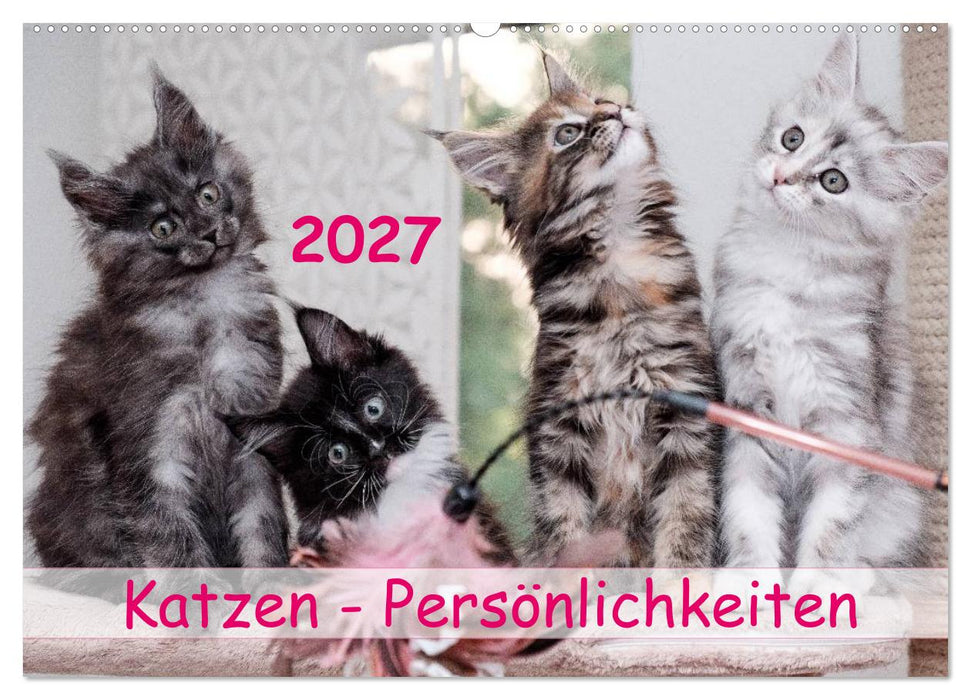 Katzen Persönlichkeiten 2027 (CALVENDO Wandkalender 2027)