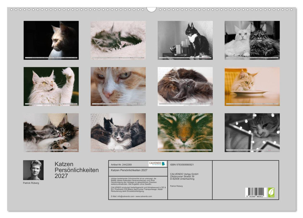 Katzen Persönlichkeiten 2027 (CALVENDO Wandkalender 2027)