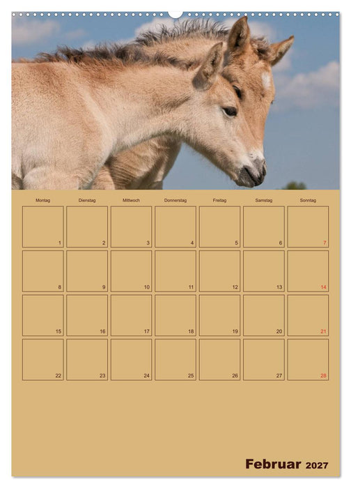 Pferde Gute Freunde (CALVENDO Premium Wandkalender 2027)