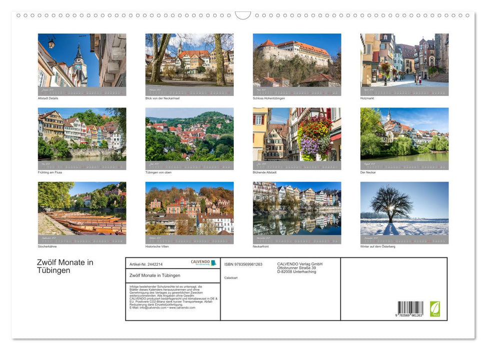 Zwölf Monate in Tübingen (CALVENDO Wandkalender 2027)
