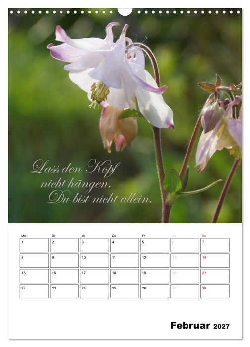 Schöne Sprüche für Dein ganzes Jahr (CALVENDO Wandkalender 2027)