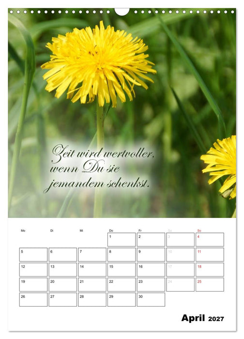 Schöne Sprüche für Dein ganzes Jahr (CALVENDO Wandkalender 2027)