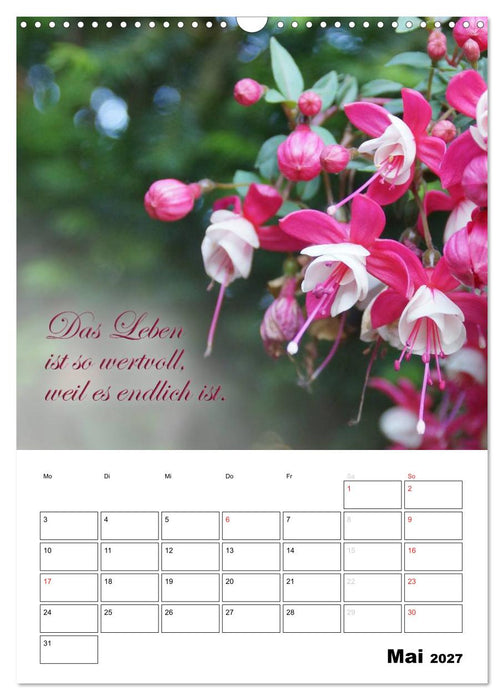 Schöne Sprüche für Dein ganzes Jahr (CALVENDO Wandkalender 2027)