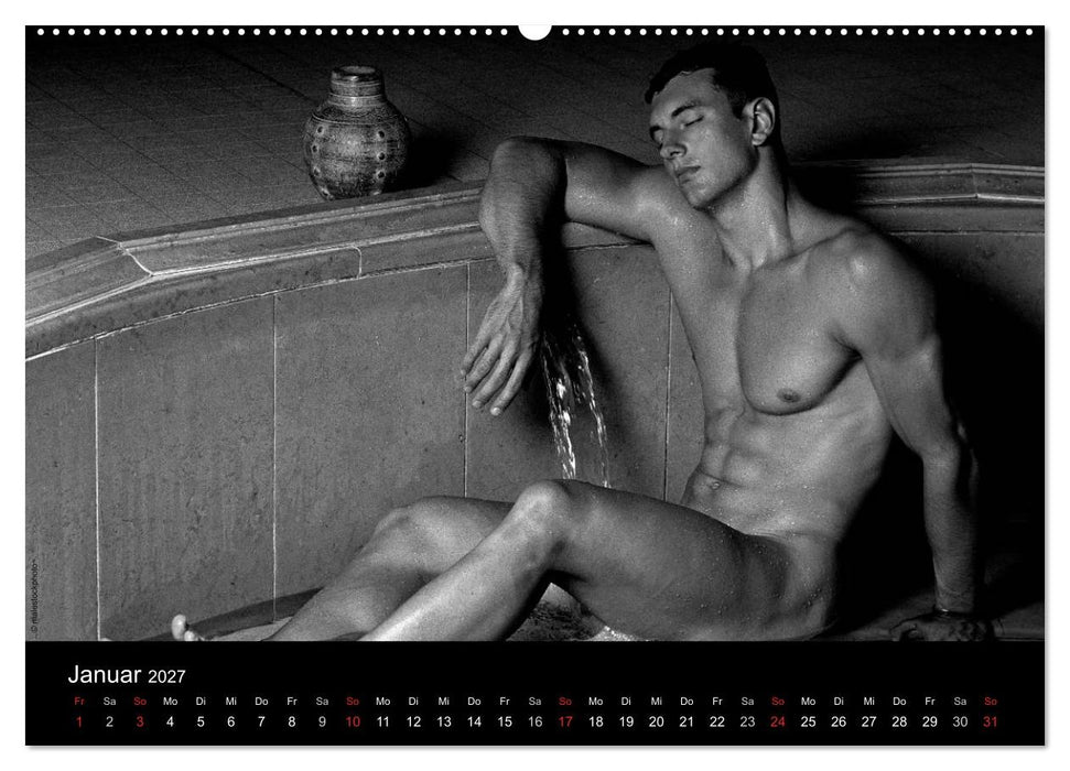 Traummänner Männerträume (CALVENDO Premium Wandkalender 2027)