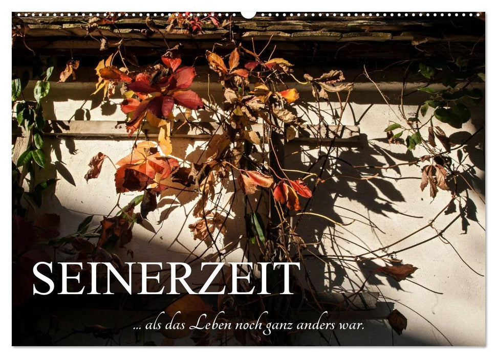 Seinerzeit (CALVENDO Wandkalender 2027)