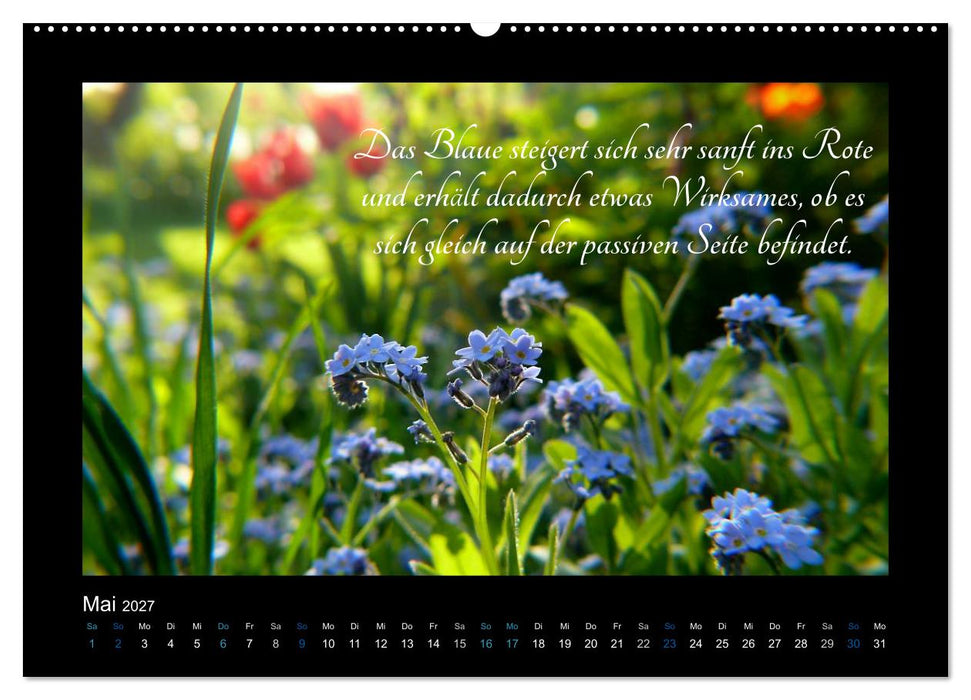 Goethes Blau. Gedanken zur Farbe (CALVENDO Wandkalender 2027)