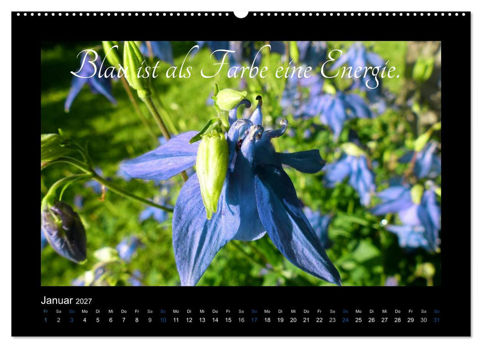 Goethes Blau. Gedanken zur Farbe (CALVENDO Premium Wandkalender 2027)