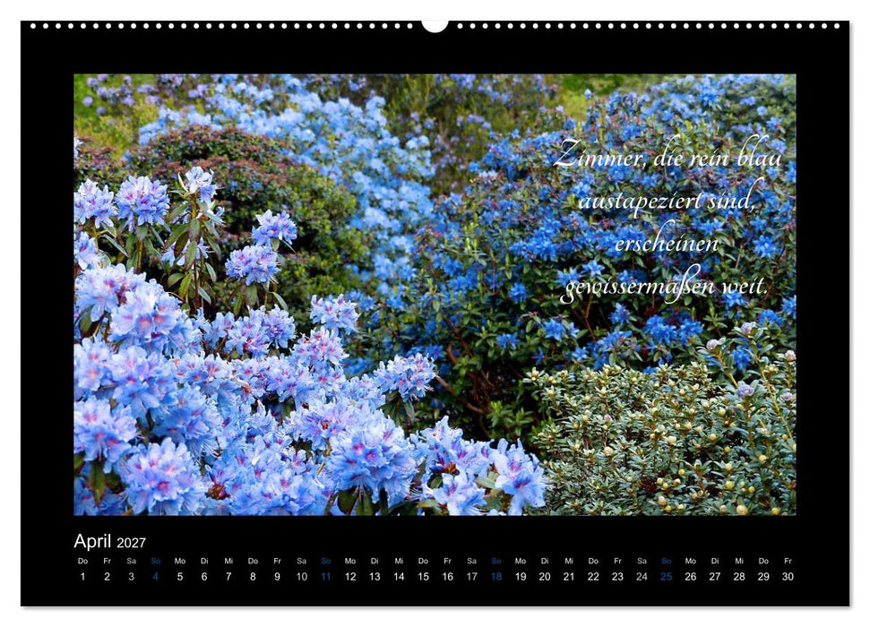 Goethes Blau. Gedanken zur Farbe (CALVENDO Premium Wandkalender 2027)