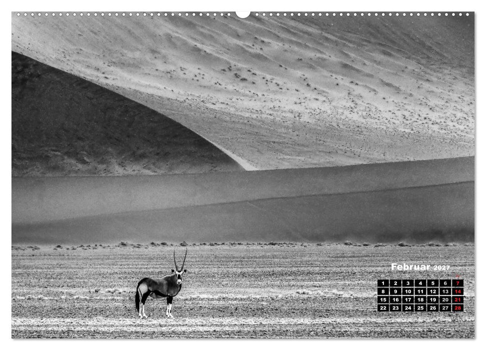 Namibia schwarzweiß (CALVENDO Premium Wandkalender 2027)