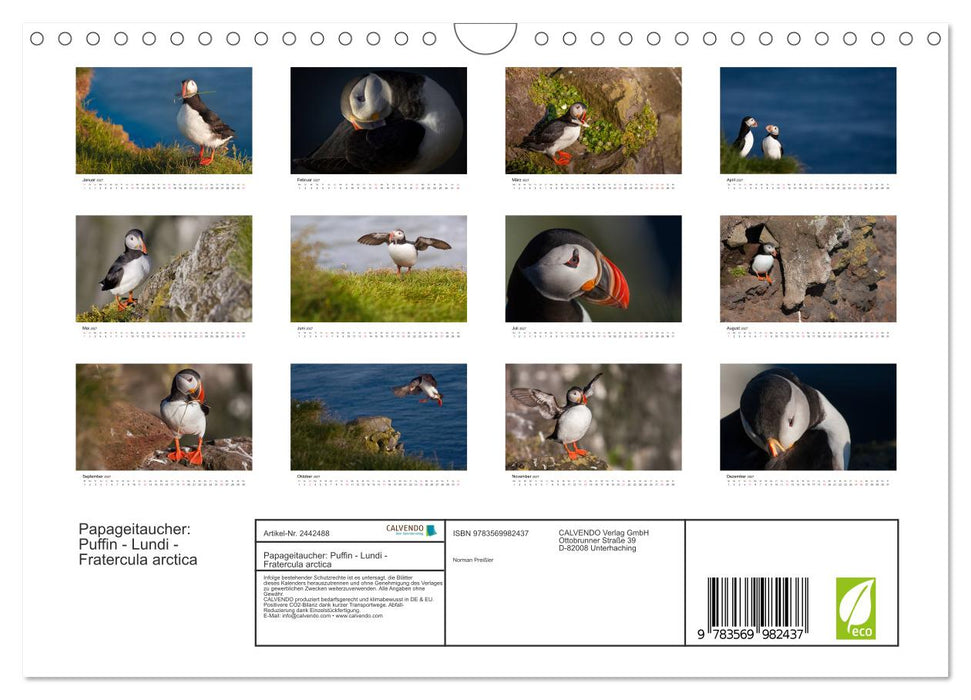 Papageitaucher: Puffin - Lundi - Fratercula arctica (CALVENDO Wandkalender 2027)