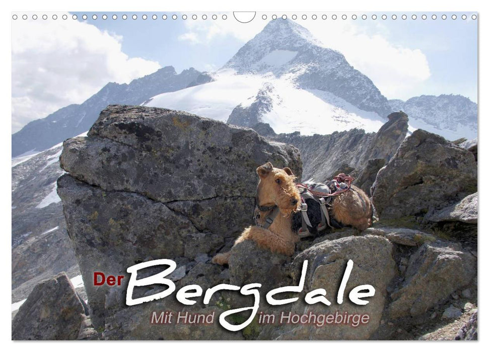 Der Bergdale - mit Hund im Hochgebirge (CALVENDO Wandkalender 2027)