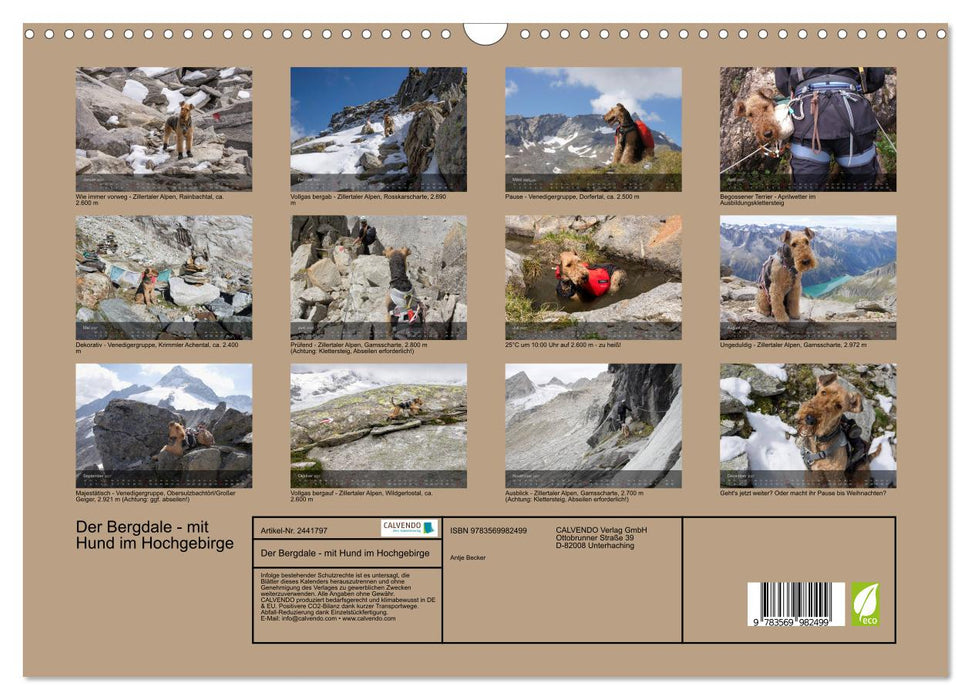 Der Bergdale - mit Hund im Hochgebirge (CALVENDO Wandkalender 2027)