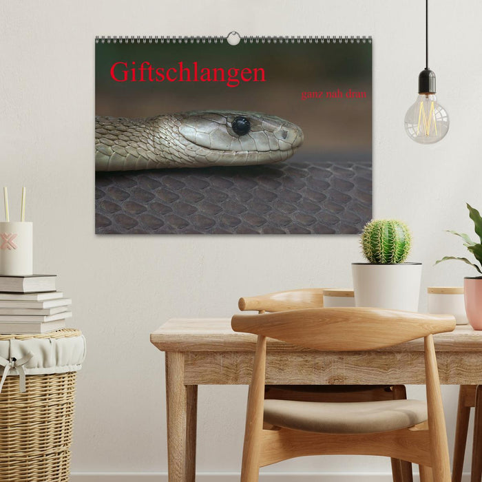 Giftschlangen, ganz nah dran (CALVENDO Wandkalender 2027)