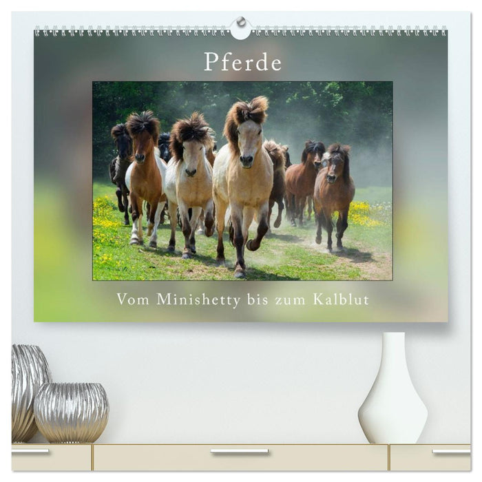 Pferde Vom Minishetty bis zum Kaltblut (CALVENDO Premium Wandkalender 2027)