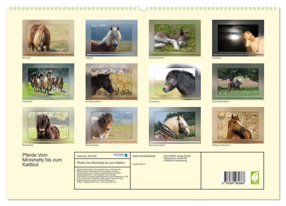 Pferde Vom Minishetty bis zum Kaltblut (CALVENDO Premium Wandkalender 2027)