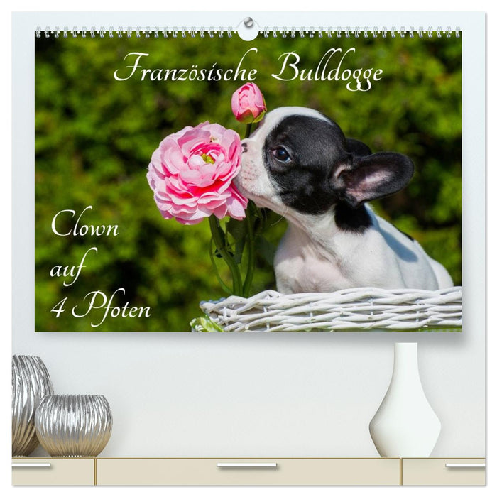 Französische Bulldogge - Clown auf 4 Pfoten (CALVENDO Premium Wandkalender 2027)