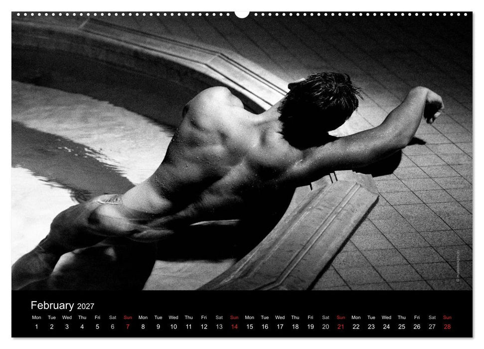 Dreaming Hunks 2027 (CALVENDO Monthly Calendar 2027)