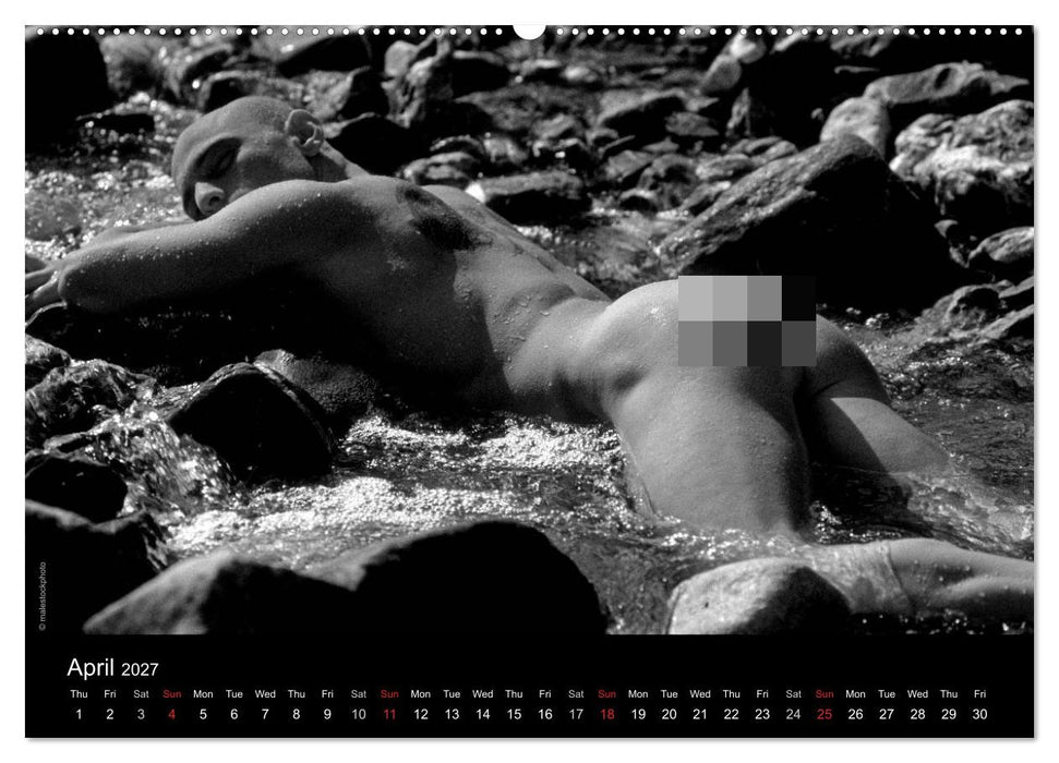 Dreaming Hunks 2027 (CALVENDO Monthly Calendar 2027)