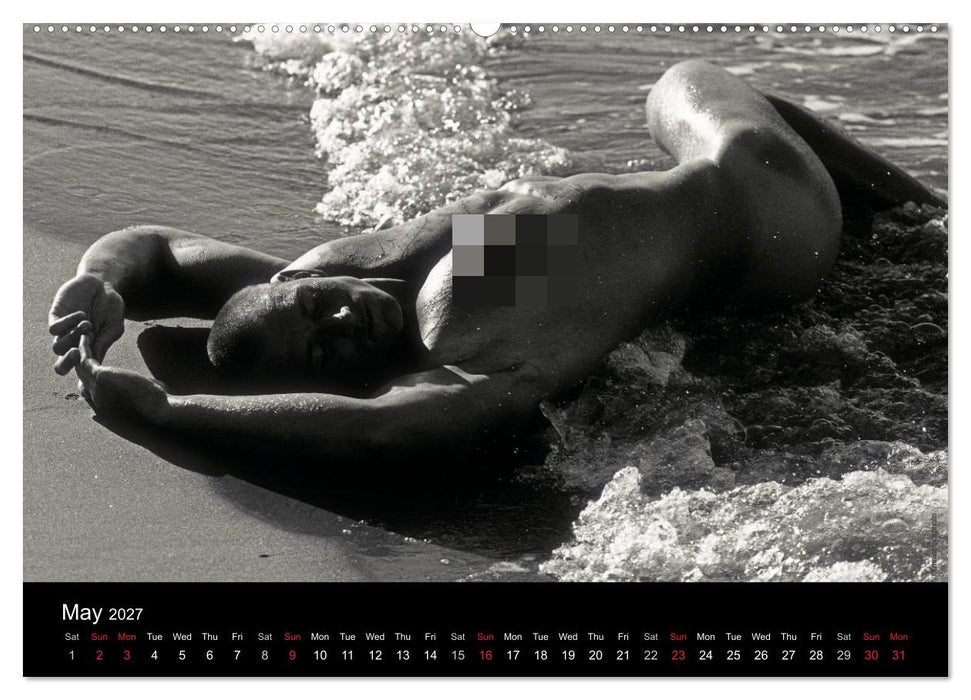 Dreaming Hunks 2027 (CALVENDO Monthly Calendar 2027)