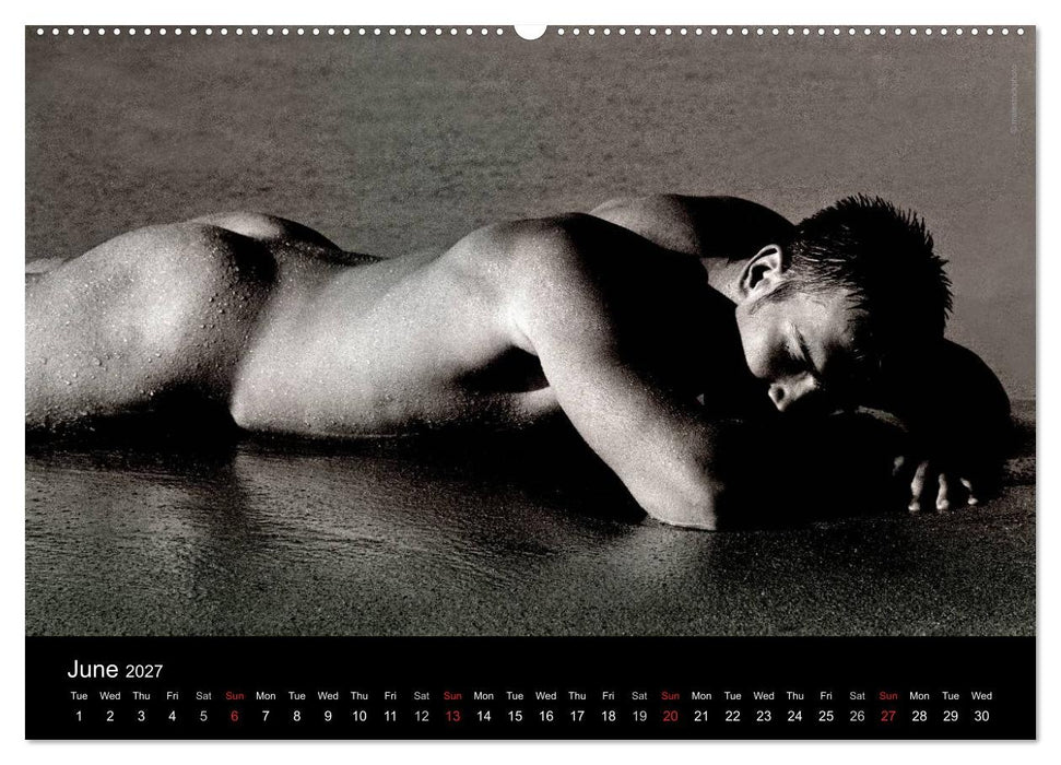 Dreaming Hunks 2027 (CALVENDO Monthly Calendar 2027)