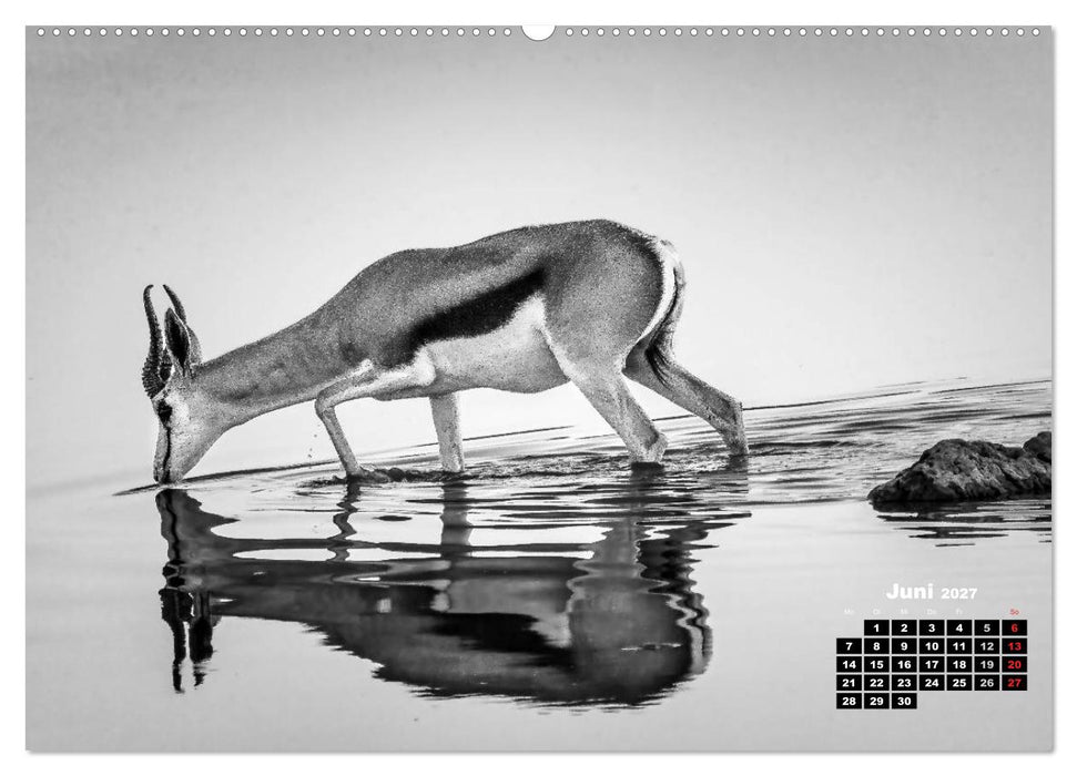 Namibia schwarzweiß (CALVENDO Wandkalender 2027)