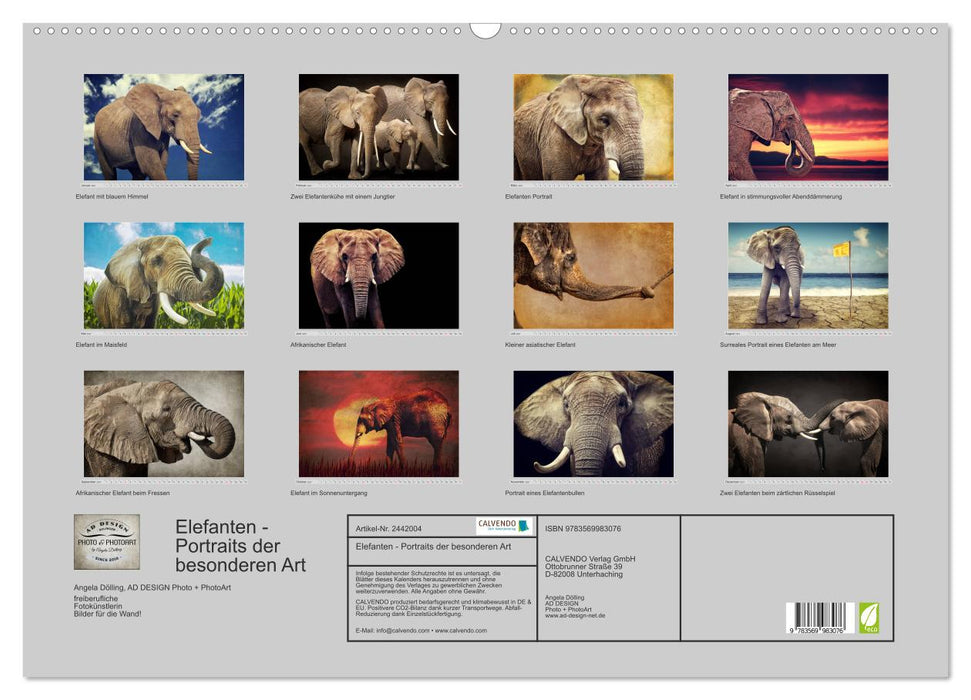 Elefanten - Portraits der besonderen Art (CALVENDO Wandkalender 2027)