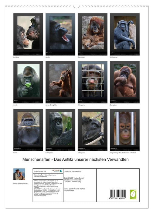 Menschenaffen - Das Antlitz unserer nächsten Verwandten (CALVENDO Premium Wandkalender 2027)