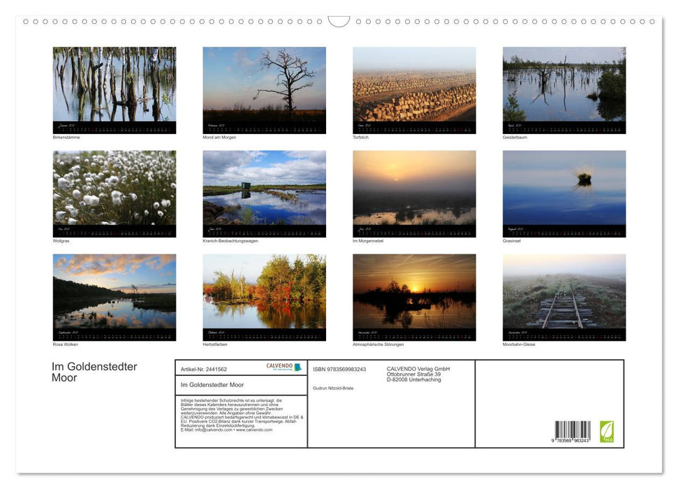 Im Goldenstedter Moor (CALVENDO Wandkalender 2027)