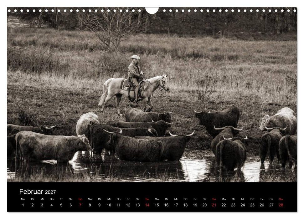 Westernreiten (CALVENDO Wandkalender 2027)