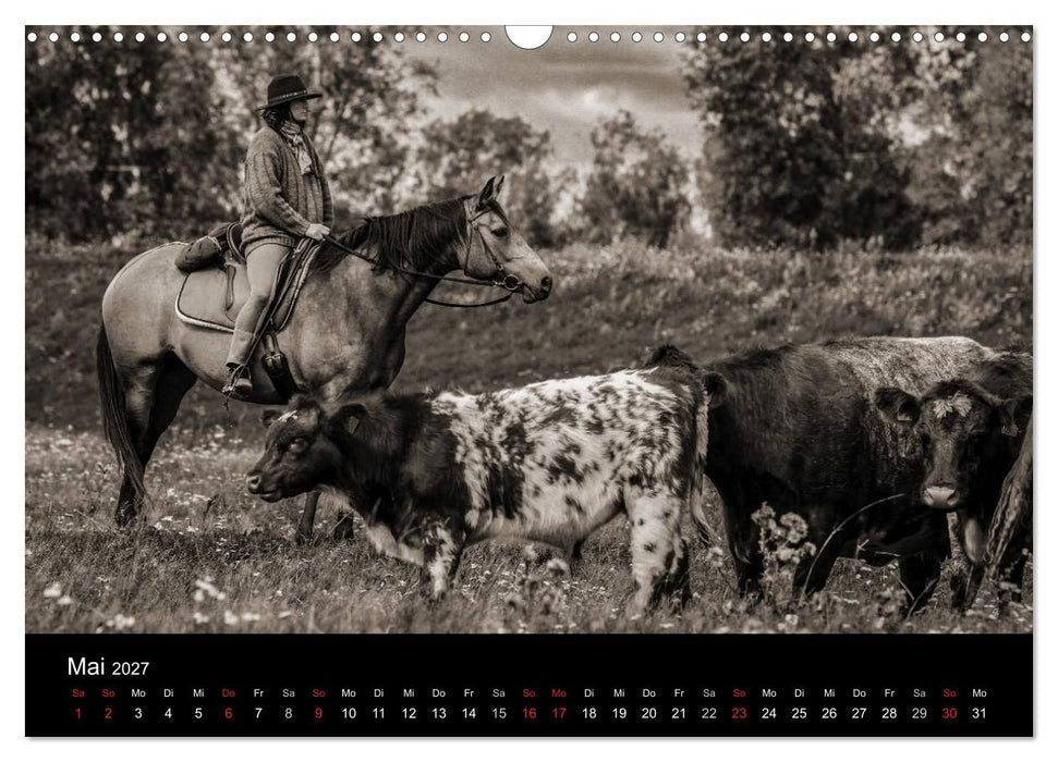 Westernreiten (CALVENDO Wandkalender 2027)