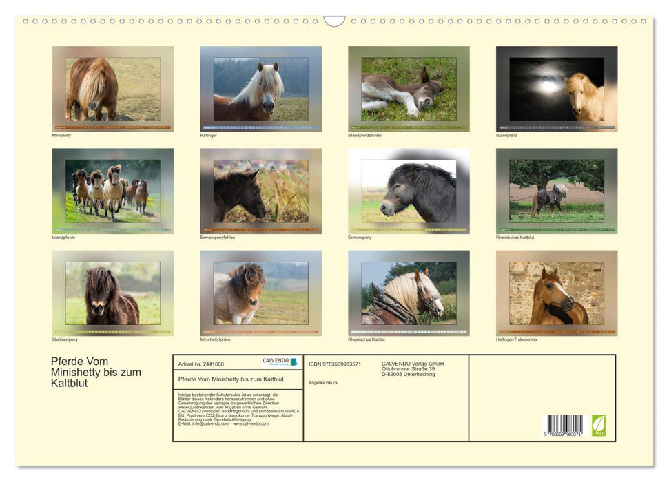 Pferde Vom Minishetty bis zum Kaltblut (CALVENDO Wandkalender 2027)