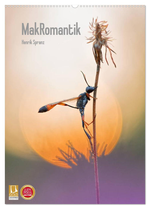 MakRomantik (CALVENDO Wandkalender 2027)