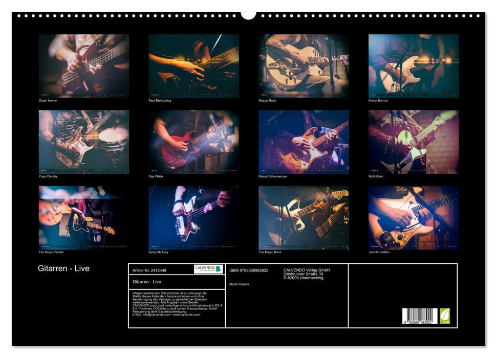 Gitarren - Live (CALVENDO Wandkalender 2027)
