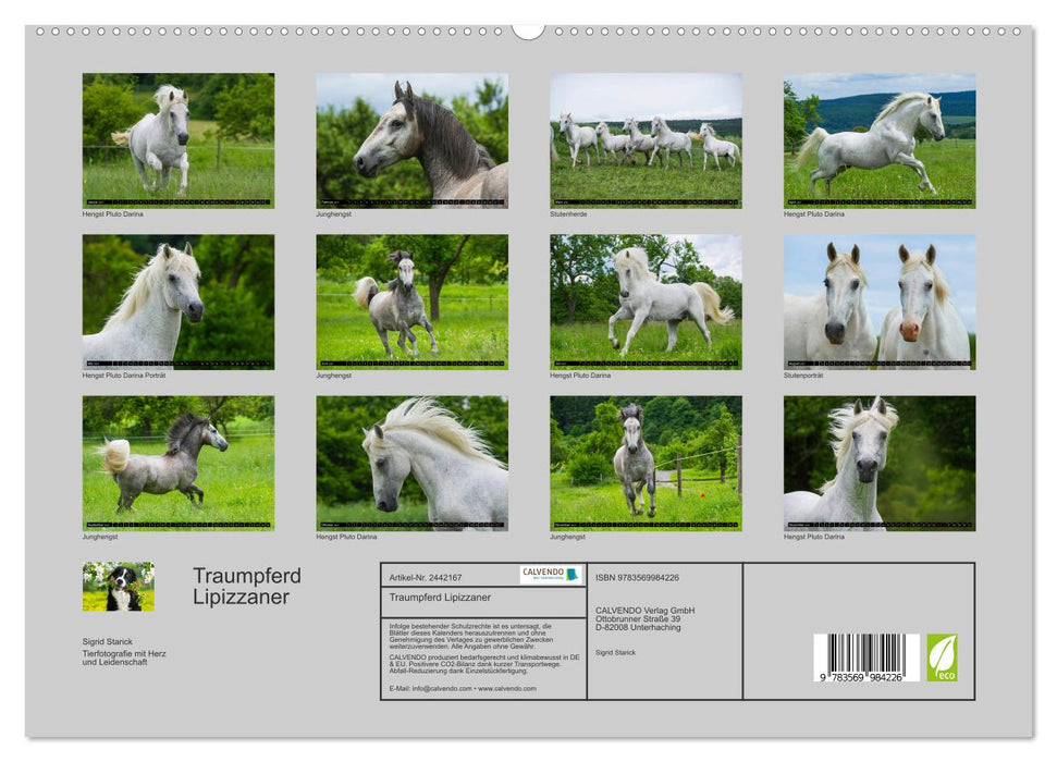 Traumpferd Lipizzaner (CALVENDO Premium Wandkalender 2027)