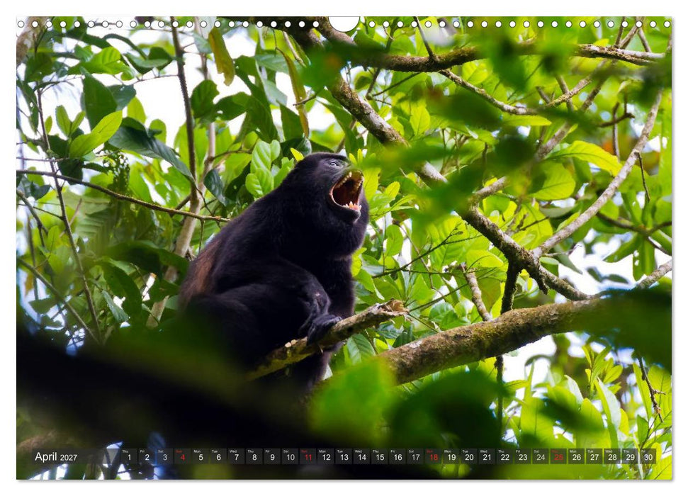 Amazing Costa Rica (CALVENDO Monthly Calendar 2027)