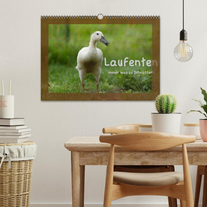 Laufenten immer was zu Schnattern (CALVENDO Wandkalender 2027)