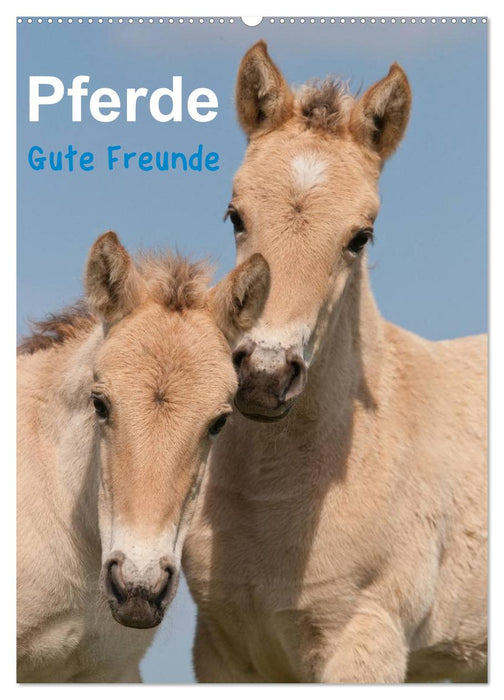 Pferde Gute Freunde (CALVENDO Wandkalender 2027)