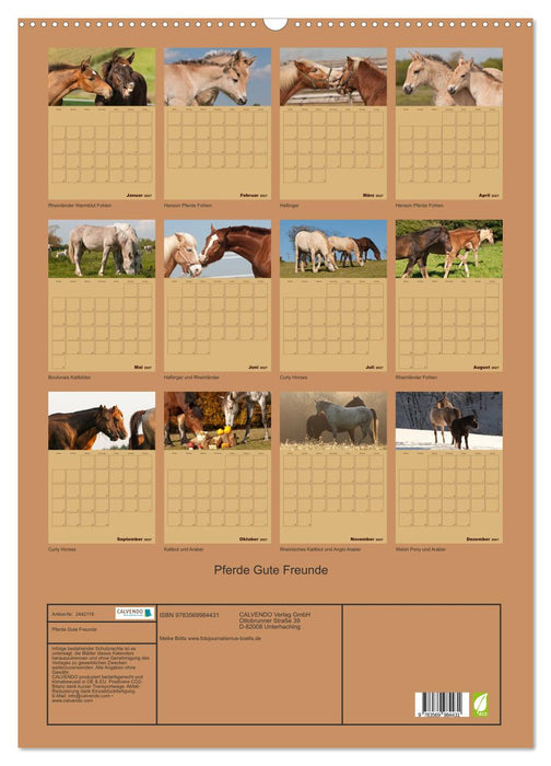 Pferde Gute Freunde (CALVENDO Wandkalender 2027)