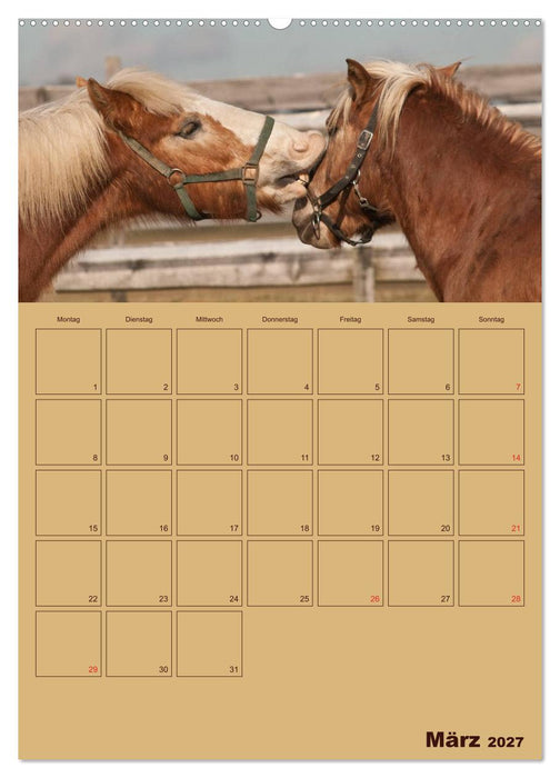 Pferde Gute Freunde (CALVENDO Wandkalender 2027)